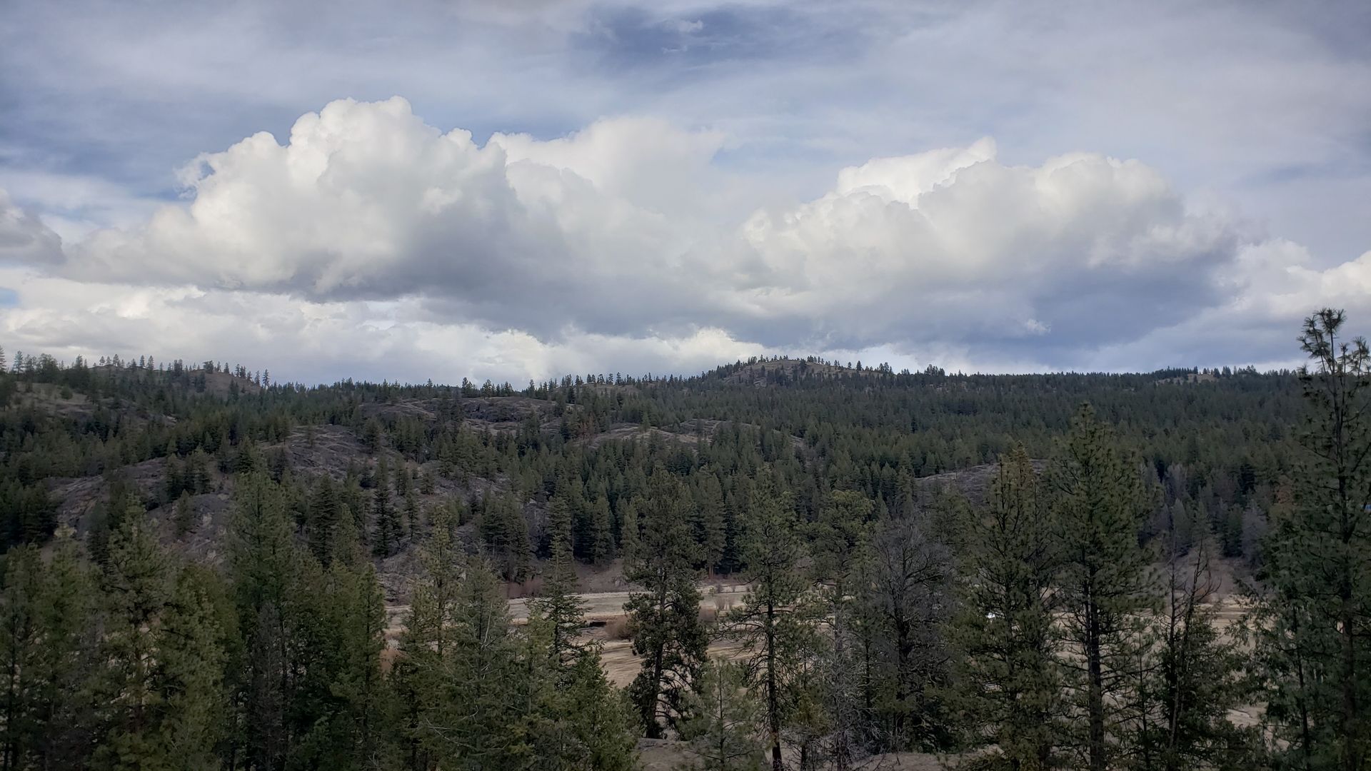 Forested hills of the Okanogan Highlands in spring with clouds, near historic Aeneas Valley homesteads