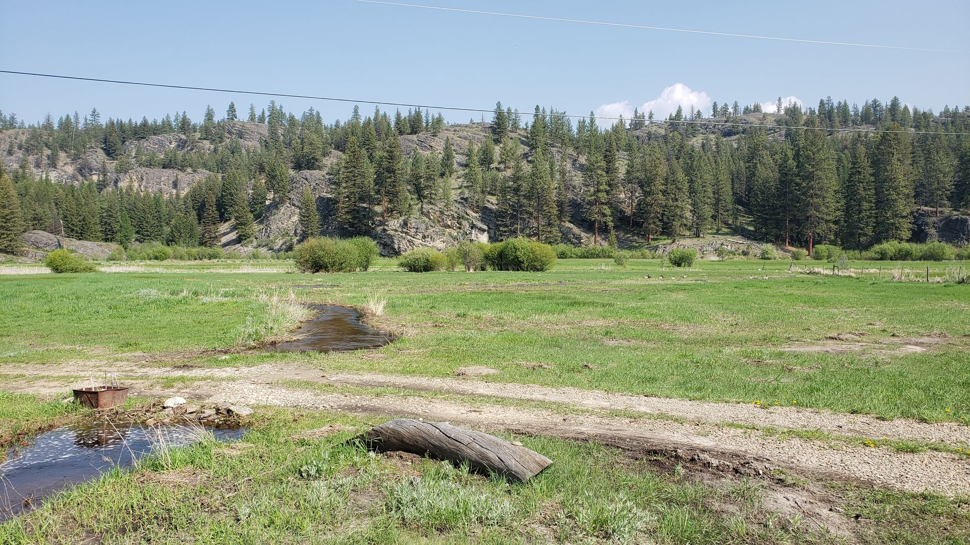 Spring wetland and rocky hillside near Aeneas Valley, dispersed camping and wildlife habitat